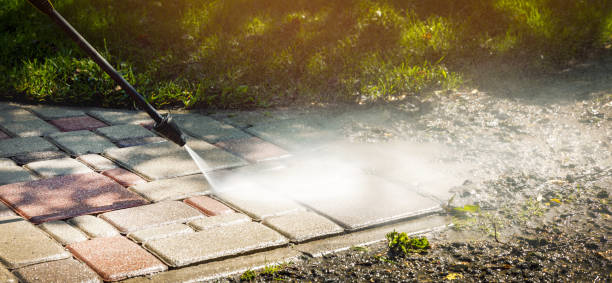 Animal Enclosure Cleaning in Hagerman, ID